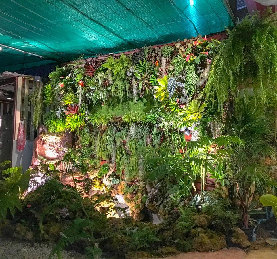 Bann Ton Kho Hotell Khao Kho Exteriör bild